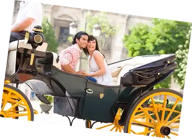 horse carriage ride